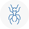 Ant Removals In Almondsbury