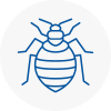 Bed Bug Extermination In Almondsbury