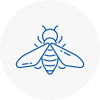Bee Nest Removal Almondsbury