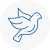 Bird Prevention Almondsbury