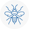 Almondsbury Hornet Nest Removals
