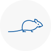 Mice Exterminators In Almondsbury