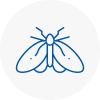 Moth Control Specialists In Almondsbury