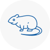 Rat Control Almondsbury