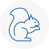 Almondsbury Rodent Removals